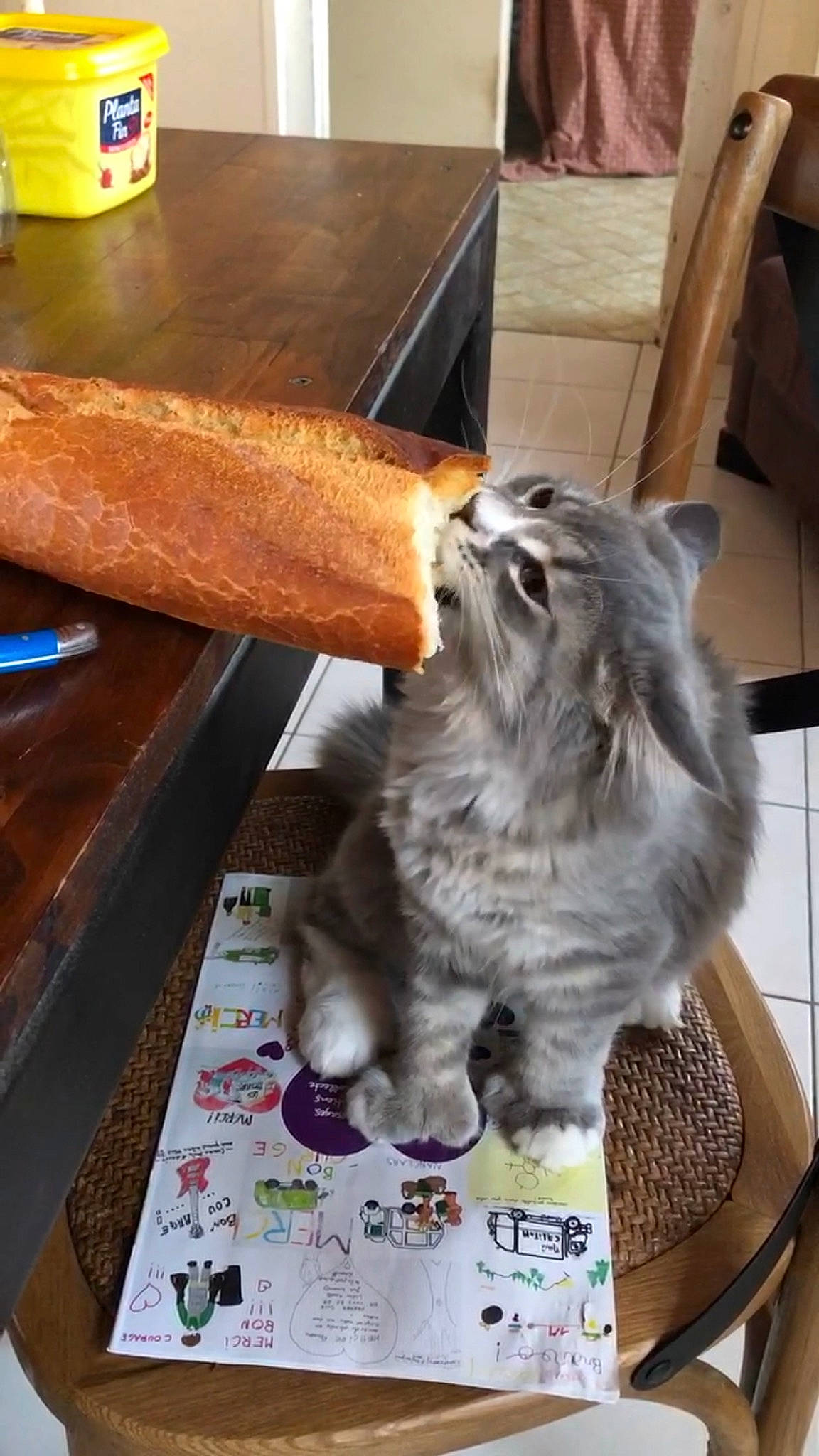 Ruby participe au concours pour gagner de l'argent avec cette photo : bread, carnivore, cat, comfort_food, companion_dog, dog_breed, fawn, felidae, flooring, fur, gluten, hardwood, ingredient, loaf, small_to_medium_sized_cats, sporting_group, table, tail, whiskers, wood