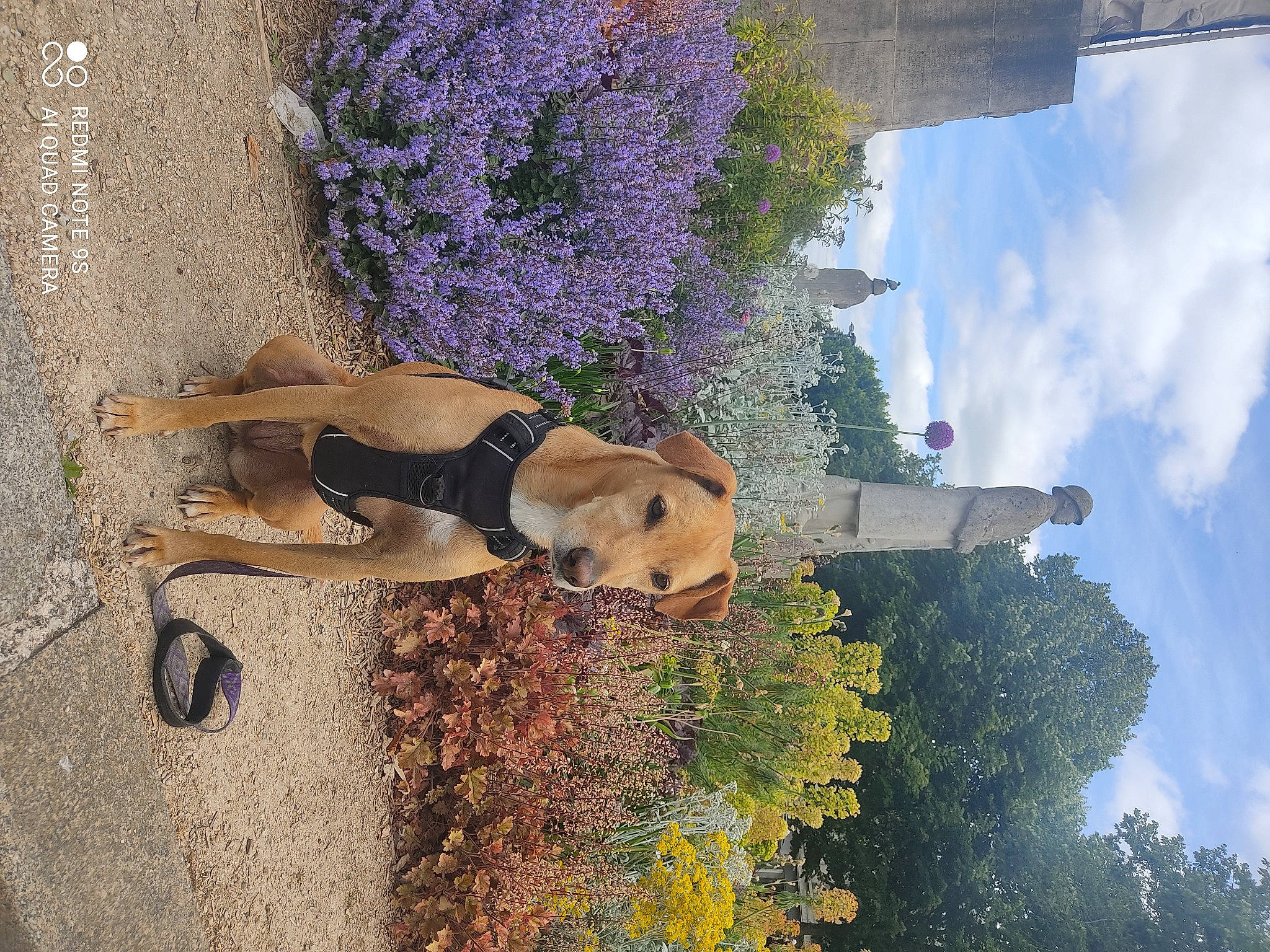 Orphée participe au concours pour gagner de l'argent avec cette photo : art, cloud, cumulus, facade, fawn, flower, grass, green, landscape, leisure, plant, reflection, rock, sculpture, shadow, shrub, sky, toy, tree, visual_arts