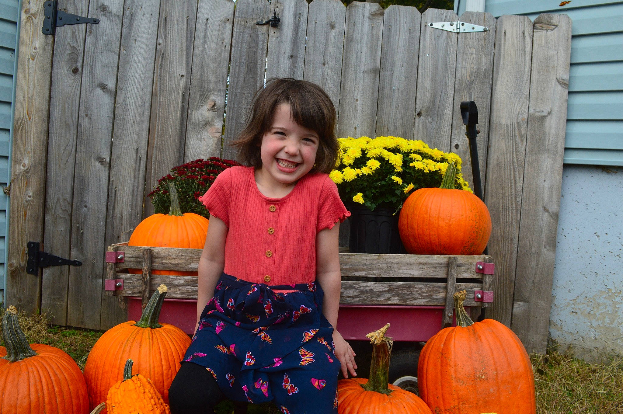 Maryellen joined the competition — help win amazing prizes! _and_melon_family, _gourd, calabaza, child, cucumber, cucurbita, food, fruit, gourd, joy, local_food, natural_foods, orange, person, plant, produce, pumpkin, smile, squash, superfood