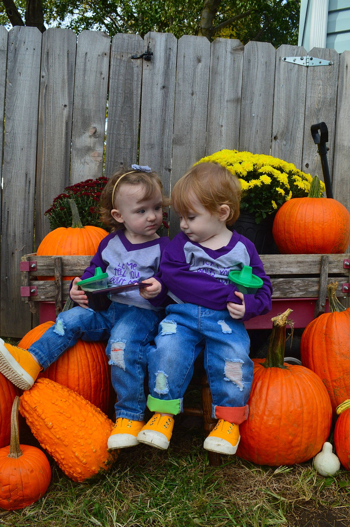 Bobbi Sue joined the competition — help win amazing prizes! _and_melon_family, _gourd, backyard, calabaza, child, cucumber, cucurbita, fruit, gourd, grass, local_food, orange, people, person, plant, play, produce, pumpkin, squash, toddler