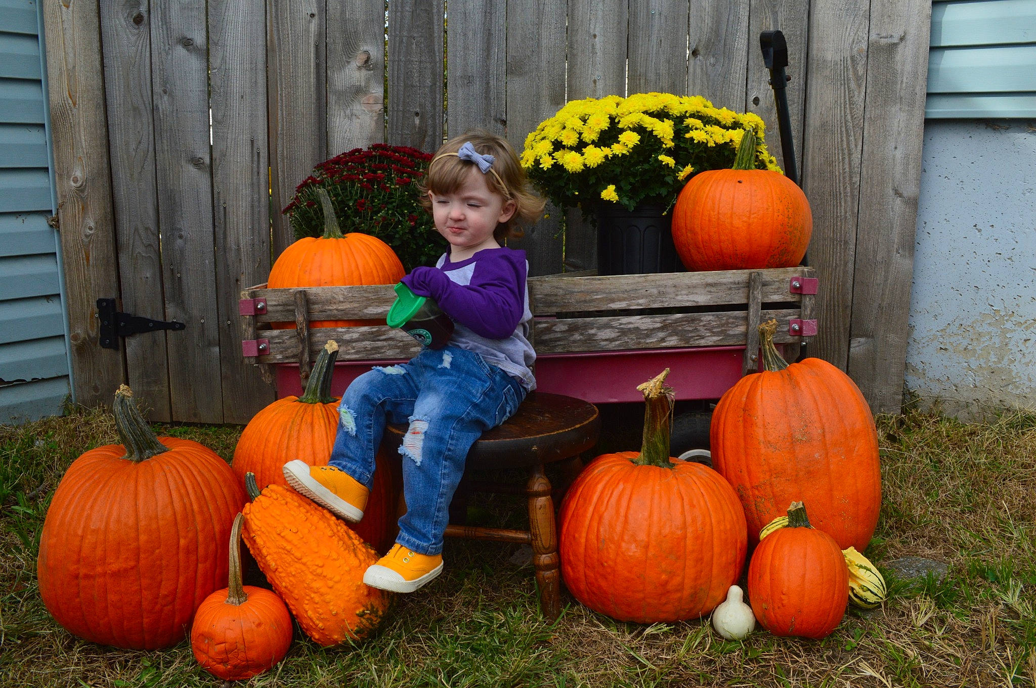 Bobbi Sue is registered to the contest to win money with this photo: _and_melon_family, _gourd, autumn, calabaza, child, cucumber, cucurbita, food, fruit, gourd, local_food, natural_foods, orange, person, plant, produce, pumpkin, squash, toddler, vegetable