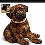 Runt Runt joined the competition — help win amazing prizes! brindle_pattern, close_up, collar, cute, dog, faux_fur, head_tilt, inset_photo, navigation_bar, pet, plush_toy, portrait, product_image, sitting, smartphone_screenshot, status_bar, studio_shot, stuffed_animal, watermark, white_background
