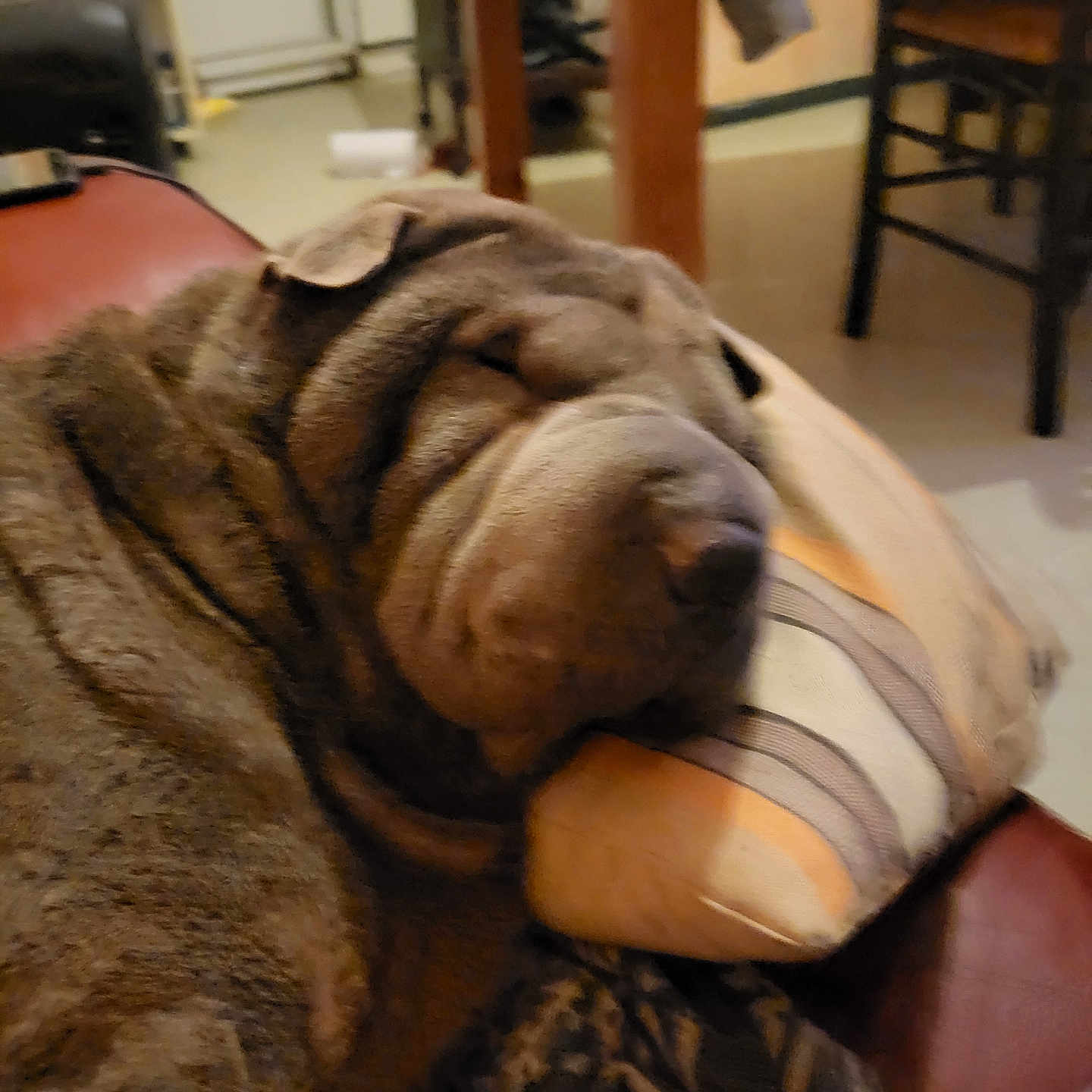 Maya