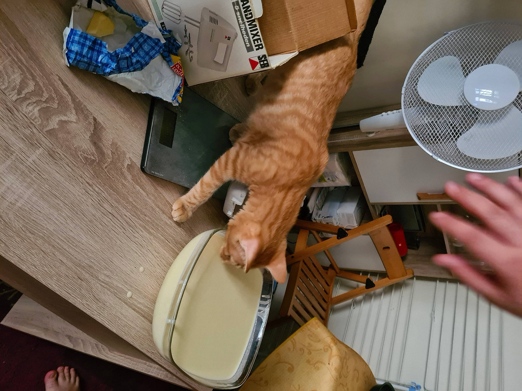 Pito participe au concours pour gagner de l'argent avec cette photo : cardboard, shoe