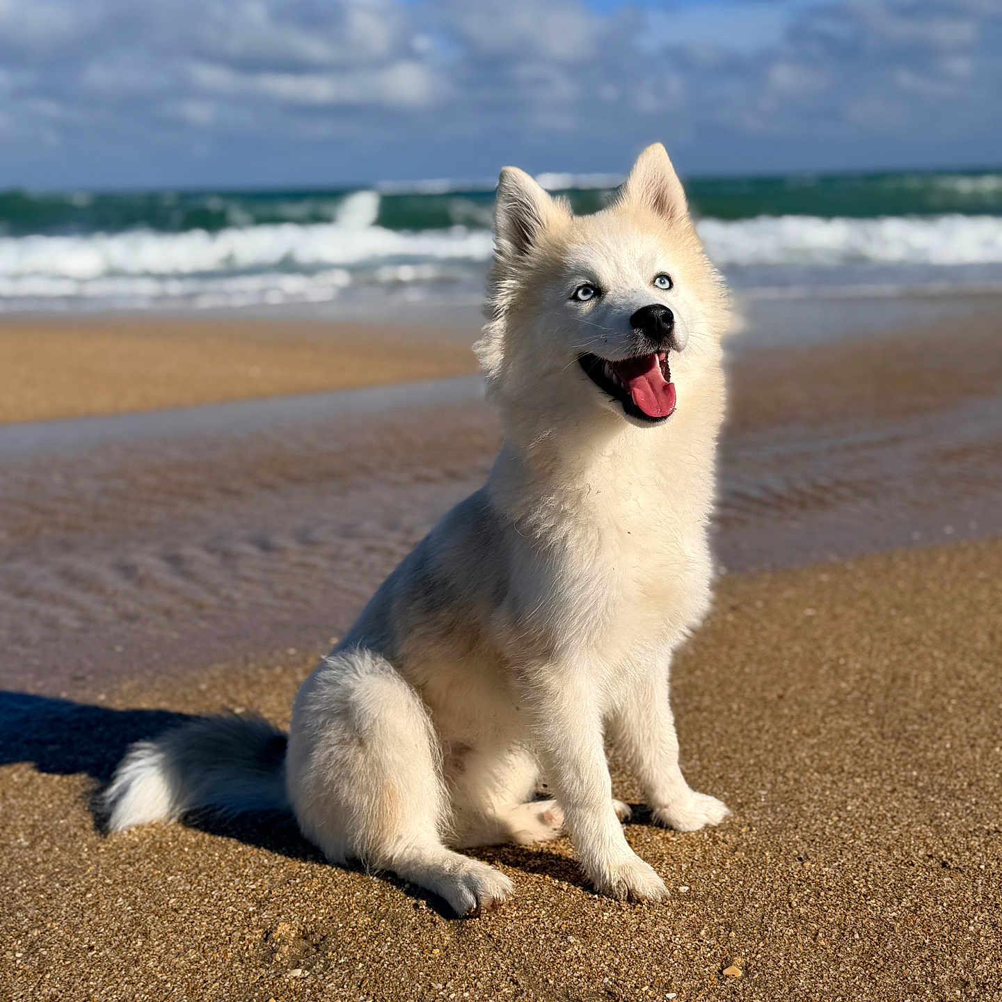 Yuki