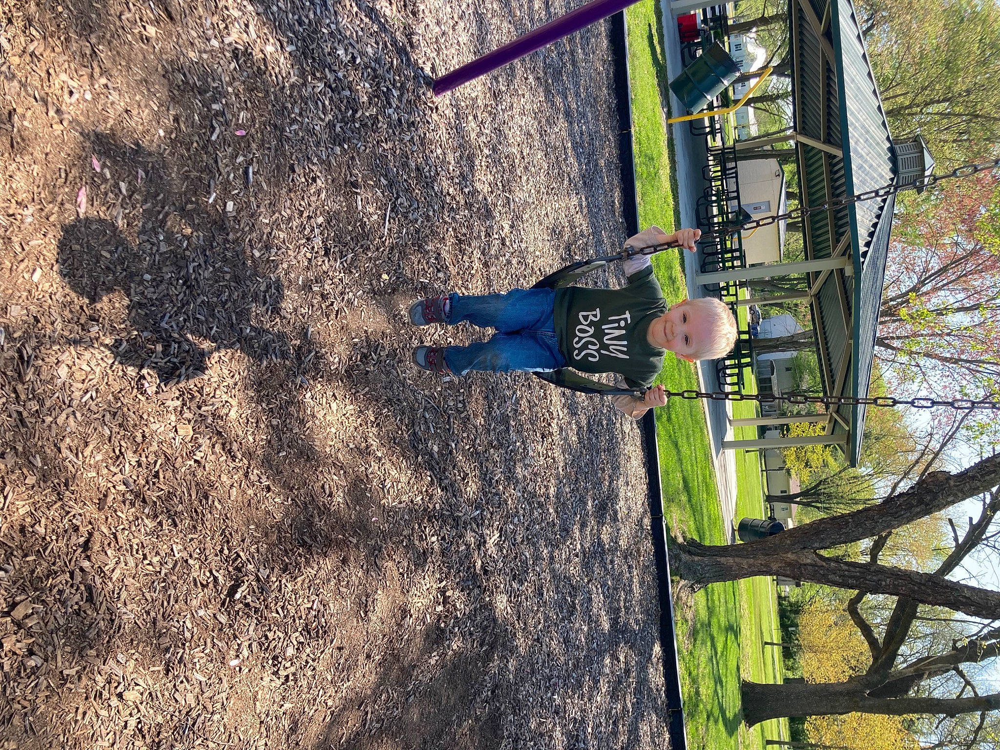 Decklyn joined the competition — help win amazing prizes! asphalt, biome, branch, electricity, grass, joy, landscape, leisure, person, plant, public_utility, recreation, road_surface, shadow, soil, tire, tree, trunk, twig, vehicle