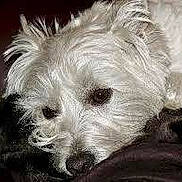 Cindy is registered to the contest to win money with this photo: