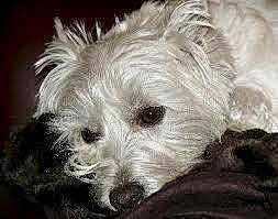 Cindy is registered to the contest to win money with this photo: