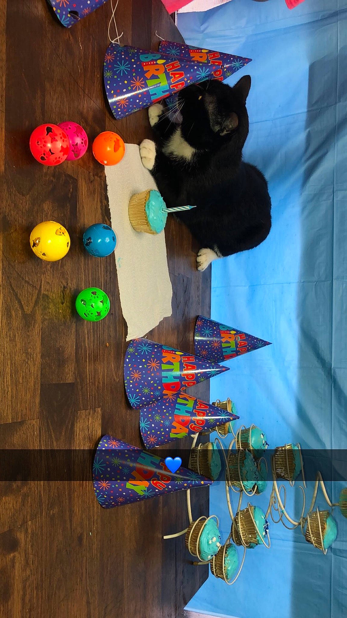 Blueberry joined the competition — help win amazing prizes! art, cat, felidae, sculpture, small_to_medium_sized_cats, textile, visual_arts, wood