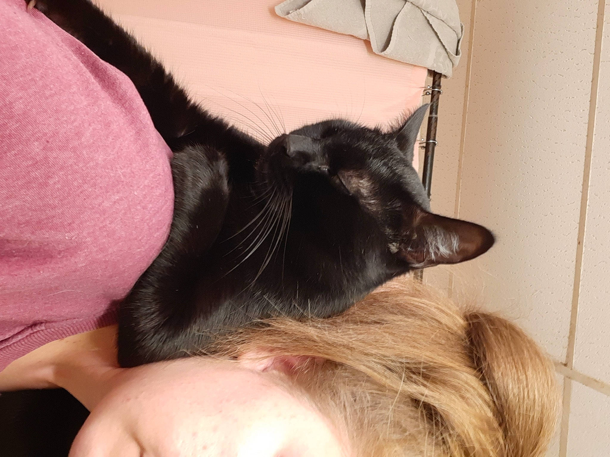 Onyx is registered to the contest to win money with this photo: carnivore, cat, comfort, domestic_short_haired_cat, ear, elbow, eyelash, felidae, foot, fur, gesture, human_leg, nail, paw, selfie, small_to_medium_sized_cats, tail, thigh, umbrella, whiskers