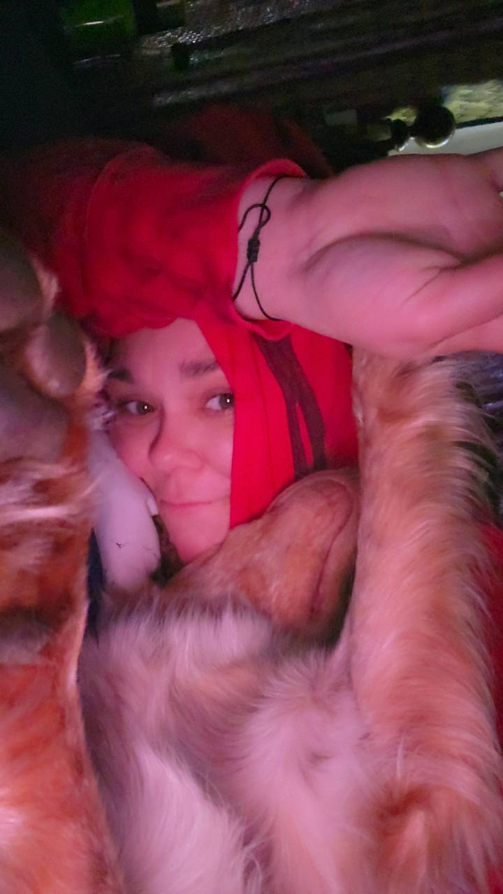 Drake joined the competition — help win amazing prizes! abdomen, barechested, chest, comfort, companion_dog, dog_breed, fawn, flesh, fun, fur, gesture, human_leg, lap, magenta, nail, pink, thigh, thumb, trunk, wrist