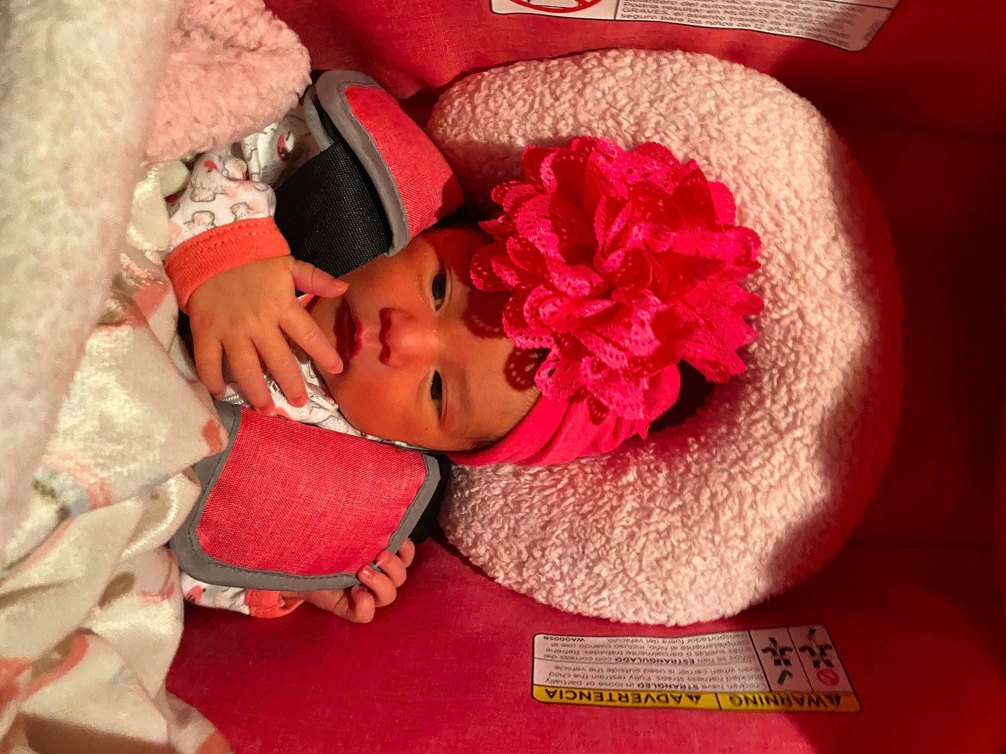 Aarya is registered to the contest to win money with this photo: baby, baby_sleeping, baby_toddler_clothing, carmine, comfort, eyelash, fashion_accessory, flower, happy, hat, headgear, headpiece, headwear, linens, lip, magenta, neck, pattern, person, petal