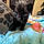 Binx