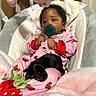 baby, baby_swing, child, comfort, cushion, cute, dog, indoor, infant, pacifier, pajamas, pet, pink, plush, puppy, relaxing, sleeping_animal, soft_toys, strawberry, toy