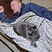 Bandit joined the competition — help win amazing prizes! man, cat, blanket, couch, indoor, relaxing, sleeping, gray_cat, carpet, wood_paneling, pillow, casual_clothing, earring, furniture, resting, home, pet, comfort, leisure, nap