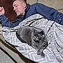 man, cat, blanket, couch, indoor, relaxing, sleeping, gray_cat, carpet, wood_paneling, pillow, casual_clothing, earring, furniture, resting, home, pet, comfort, leisure, nap