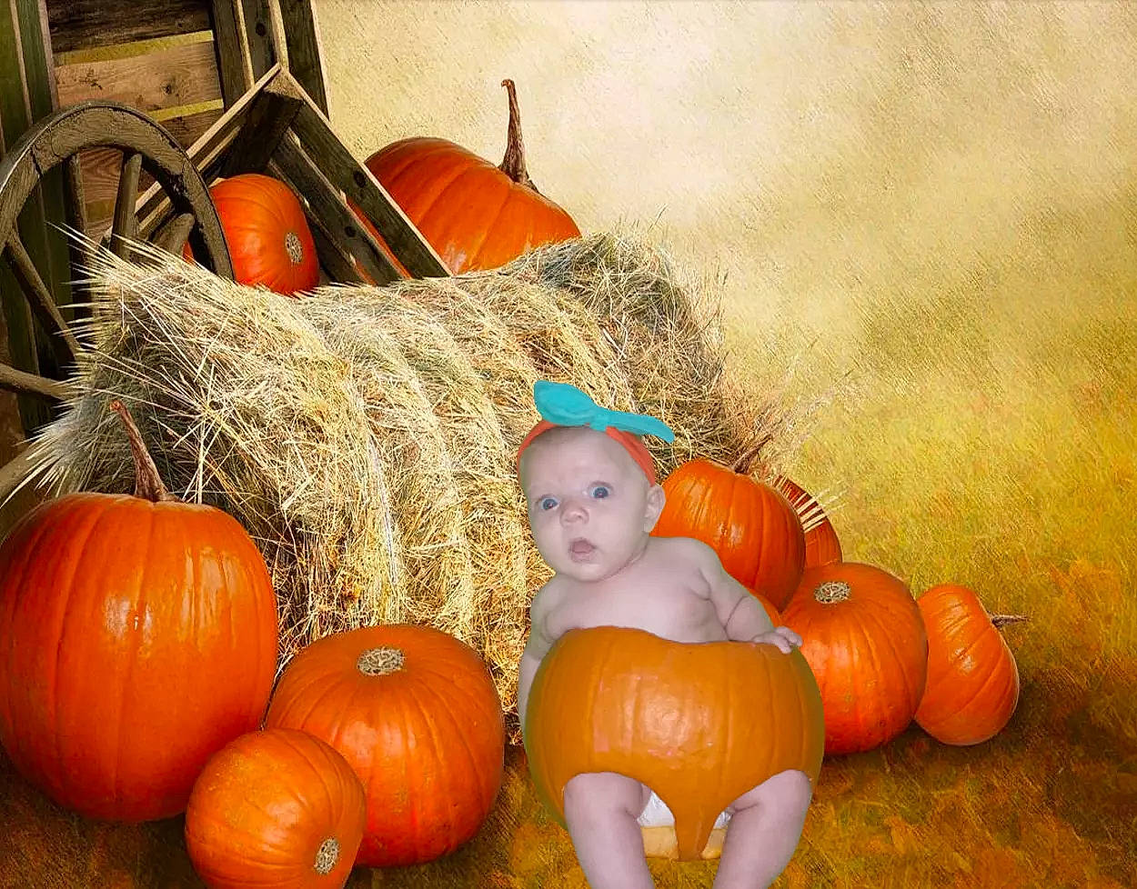 Juliana is registered to the contest to win money with this photo: _and_melon_family, _gourd, autumn, calabaza, child, cucumber, cucurbita, food, fruit, gourd, local_food, natural_foods, orange, person, plant, produce, pumpkin, squash, still_life, still_life_photography