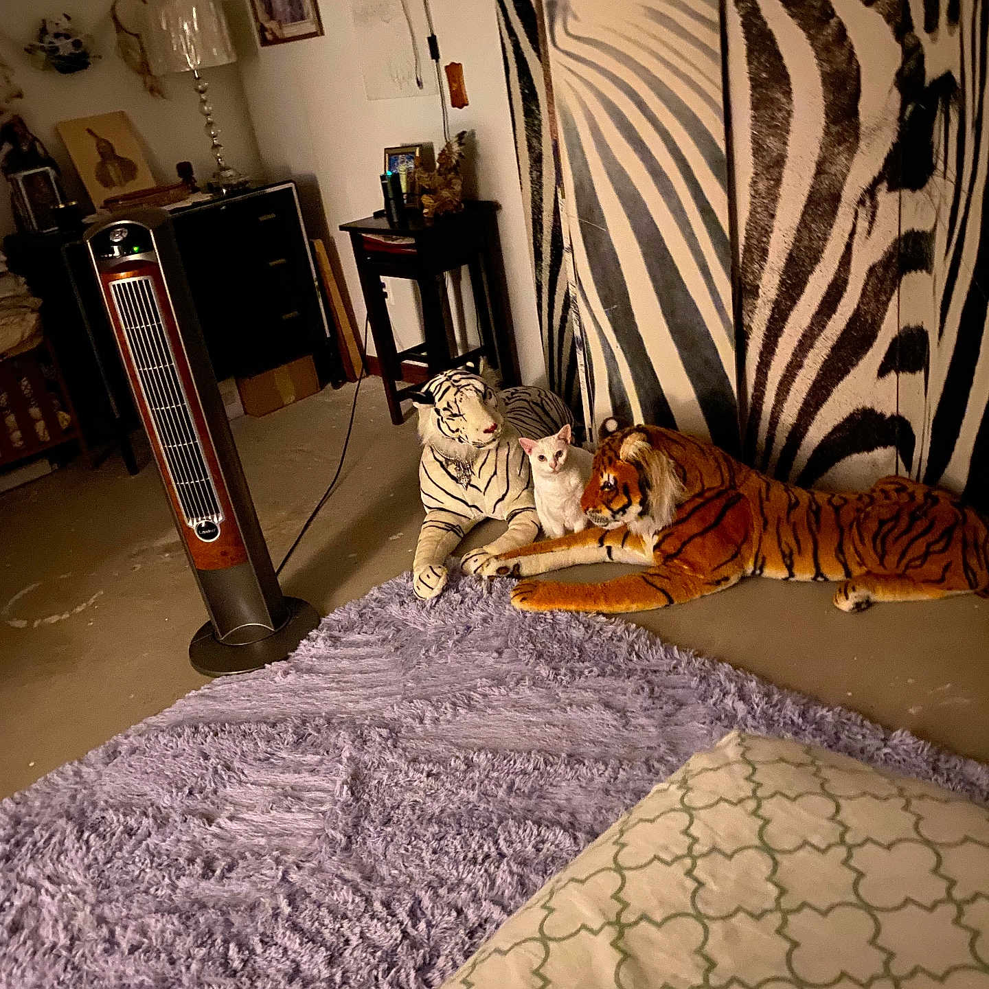 Snowy is registered to the contest to win money with this photo: cat, stuffed_animal, tiger, white_cat, rug, purple_rug, zebra_stripes, curtain, heater, lamp, table, chair, wall_art, indoor, floor, decor, animal_figure, furniture, room, cozy