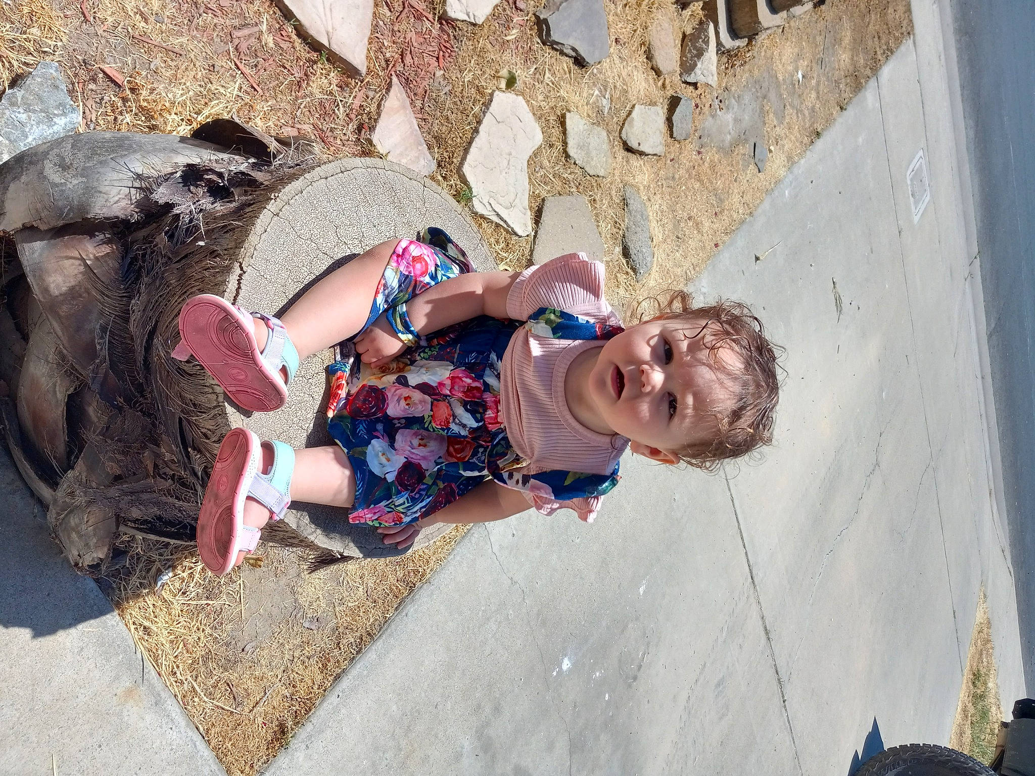 Melody is registered to the contest to win money with this photo: adventure, baby, child, concrete, fun, grass, happy, landscape, leisure, person, play, recreation, rock, sand, sitting, smile, soil, toddler, tourism, tree