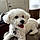Zoey