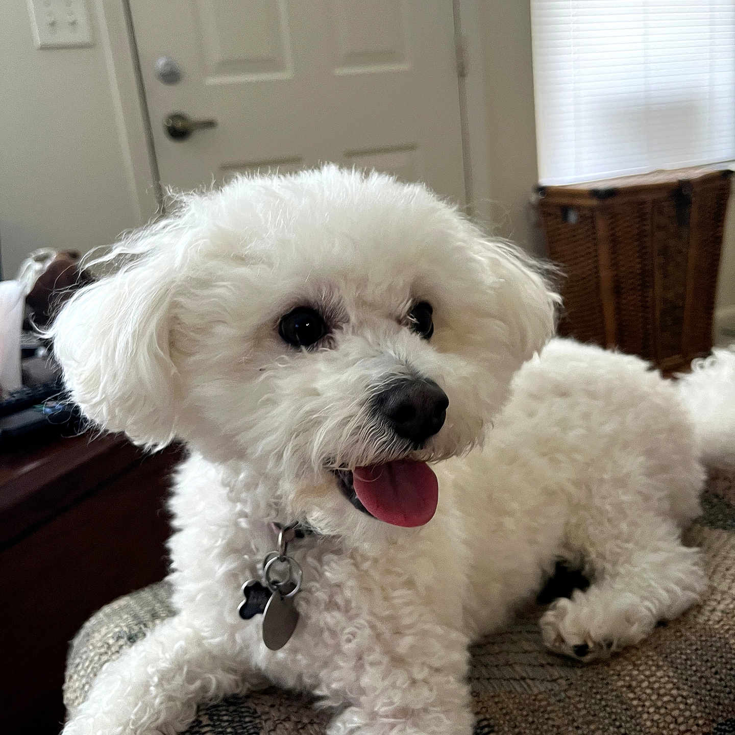 Zoey