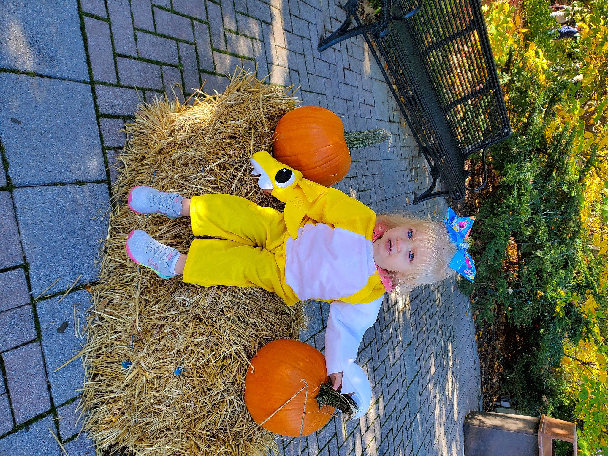 Lucille is registered to the contest to win money with this photo: _and_melon_family, _gourd, baby_toddler_clothing, ball, calabaza, cobblestone, cucumber, cucurbita, hay, mesh, person, play, produce, pumpkin, squash, straw, toy, vegetable, winter_squash