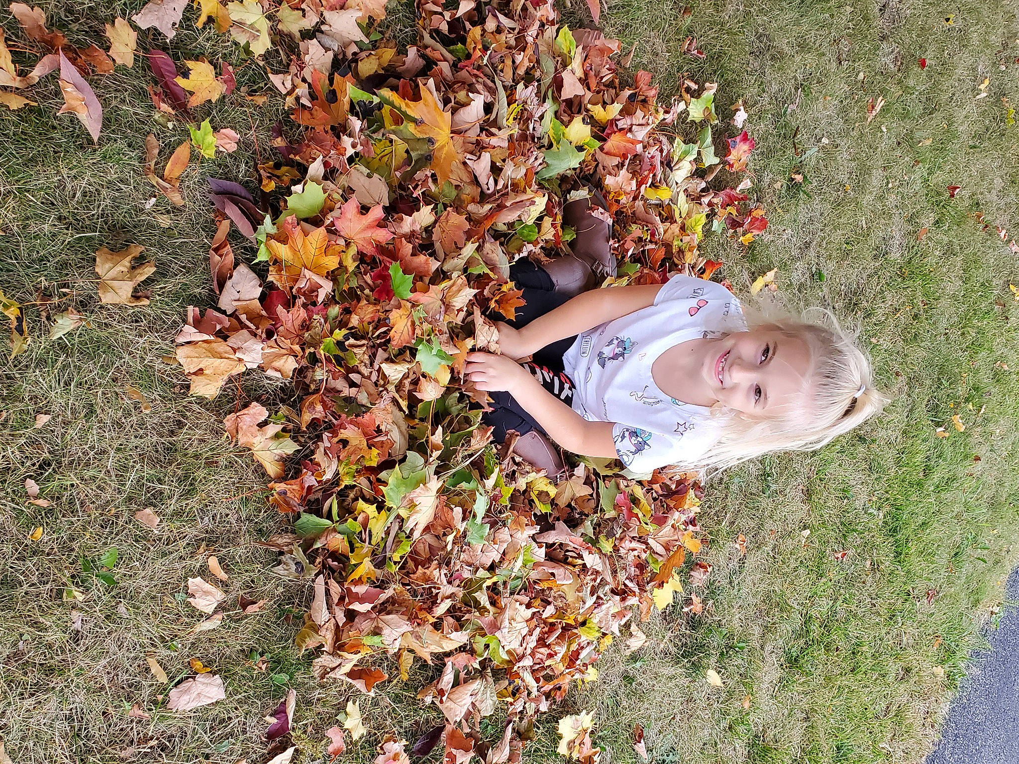 Adalynn is registered to the contest to win money with this photo: autumn, baby, baby_toddler_clothing, deciduous, garden, grass, groundcover, human, joy, lawn, leaf, people_in_nature, person, toddler