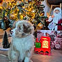 puppy, dog, christmas_tree, ornaments, lights, holiday, festive, santa_claus, toy_train, floor, decorations, indoor, cute, fluffy, pet, christmas, celebration, winter, tree, seasonal