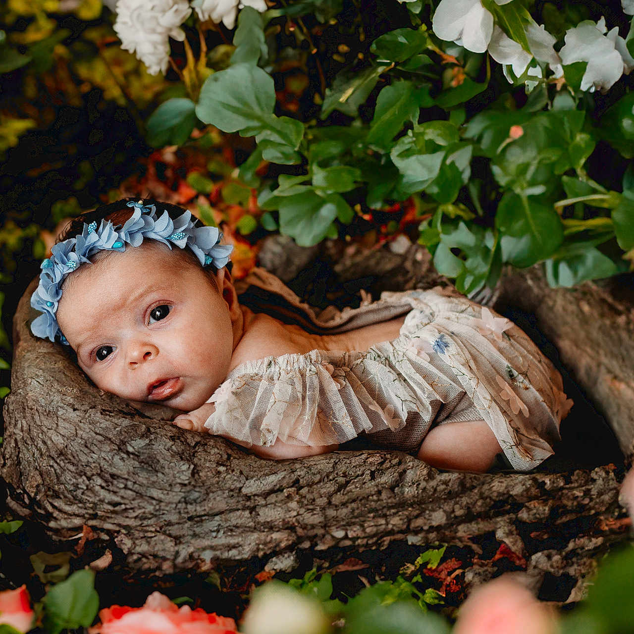 Everley