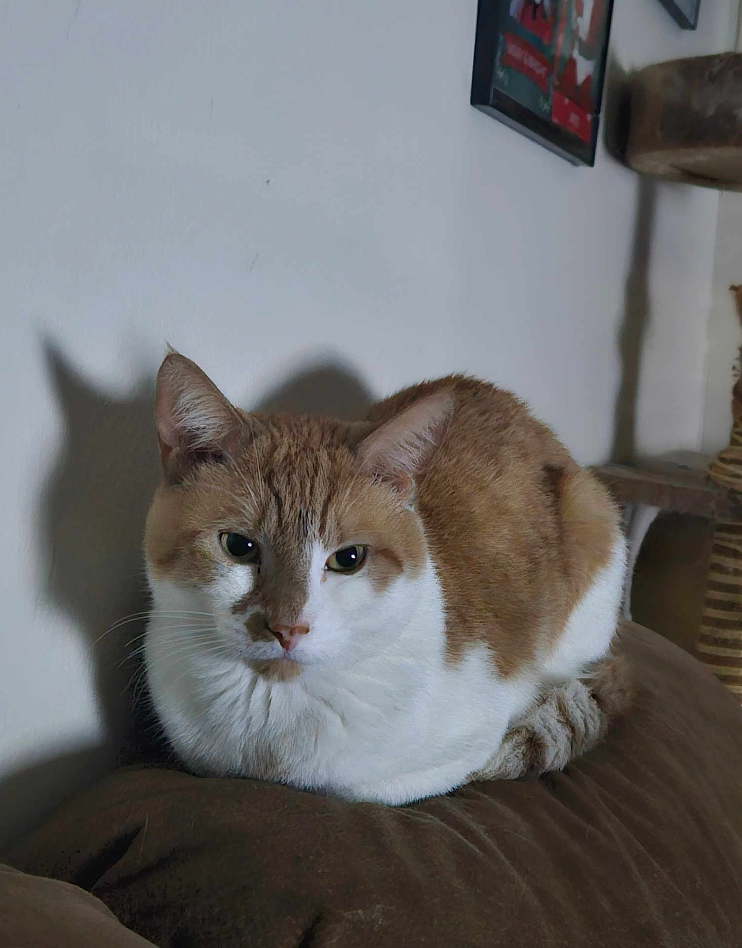 Sam