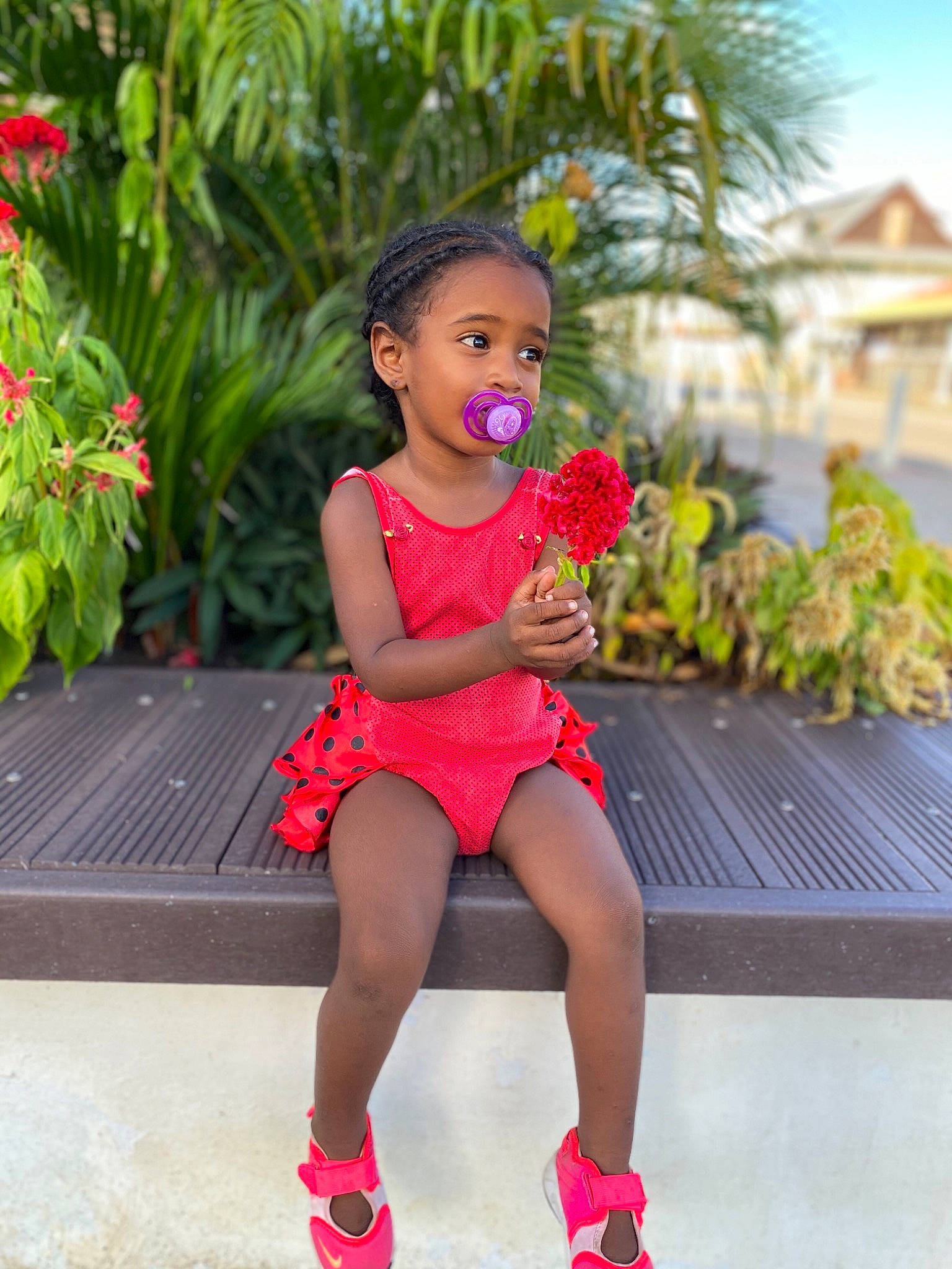Maëlla a rejoint le concours — aidez-le/la à gagner de superbes lots ! arecales, baby, baby_toddler_clothing, calf, child_model, day_dress, foot, fruit, garden, magenta, outdoor_furniture, palm_tree, person, pink, red, sandal, shoe, sock, summer, toddler