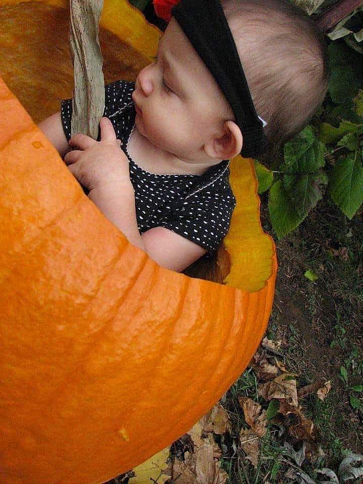 Rhea joined the competition — help win amazing prizes! _and_melon_family, _gourd, baby, baby_products, baby_toddler_clothing, calabaza, child, cucumber, cucurbita, gourd, hair_accessory, headband, headwear, orange, person, produce, pumpkin, toddler, vegetable, winter_squash