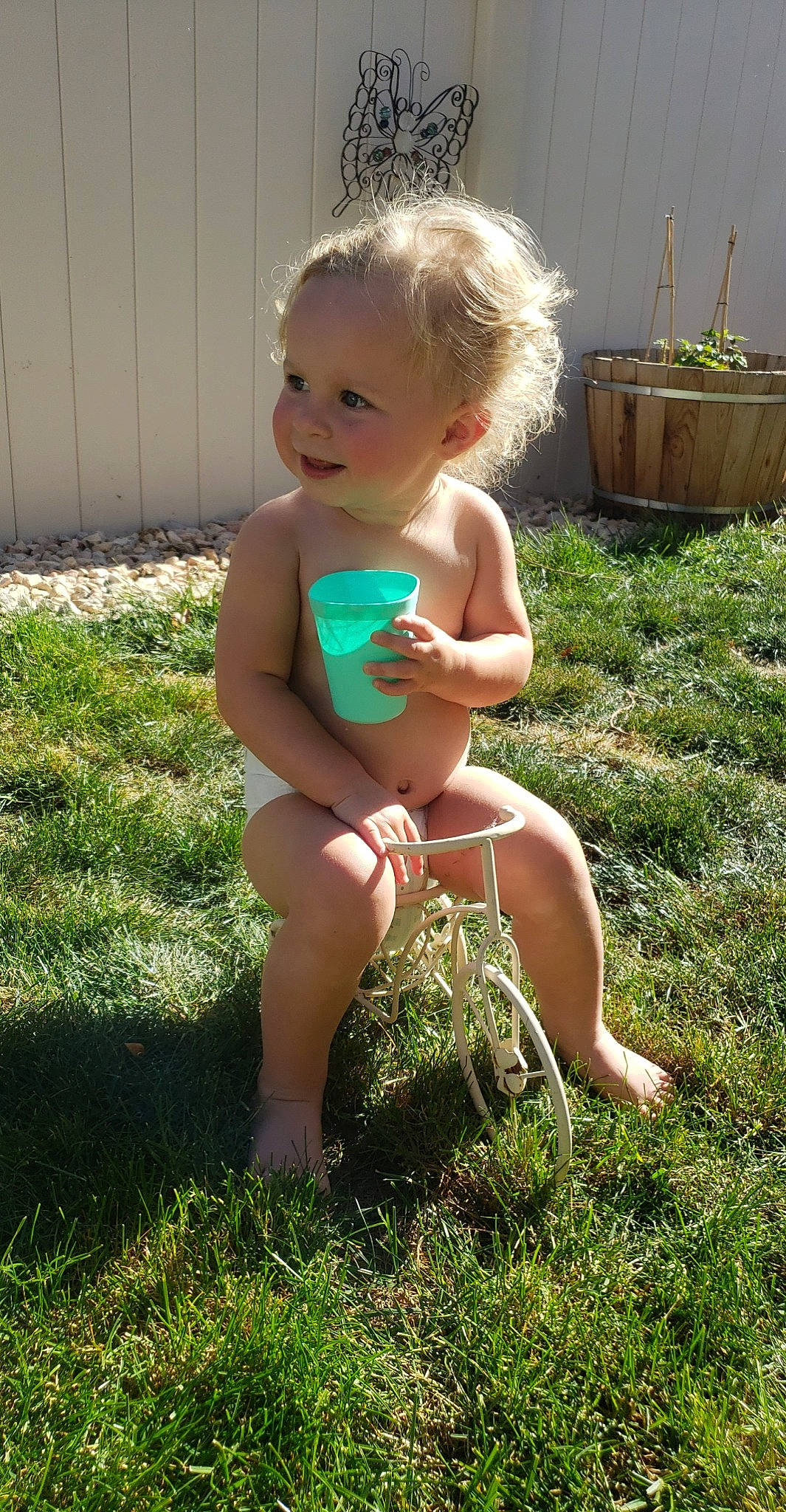 Tilly Mae joined the competition — help win amazing prizes! barefoot, chest, face, flowerpot, grass, grass_family, happy, head, human_body, human_leg, knee, lawn, leg, people_in_nature, person, plant, smile, thigh, thumb, toddler