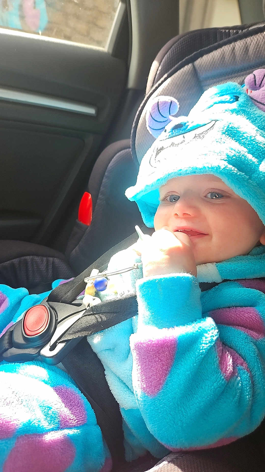 Alfie joined the competition — help win amazing prizes! baby, child, car_seat, car_interior, blue_clothing, purple_clothing, plush_outfit, toy, seatbelt, smiling, happy, face, hand, window, sunlight, cute, infant, safety, portrait, indoor
