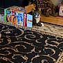 cat, box, living_room, rug, teddy_bear, books, floor, furniture, curious, pet, animal, indoor, home, decor, plaid_chair, brown, black, beige, pattern, cozy
