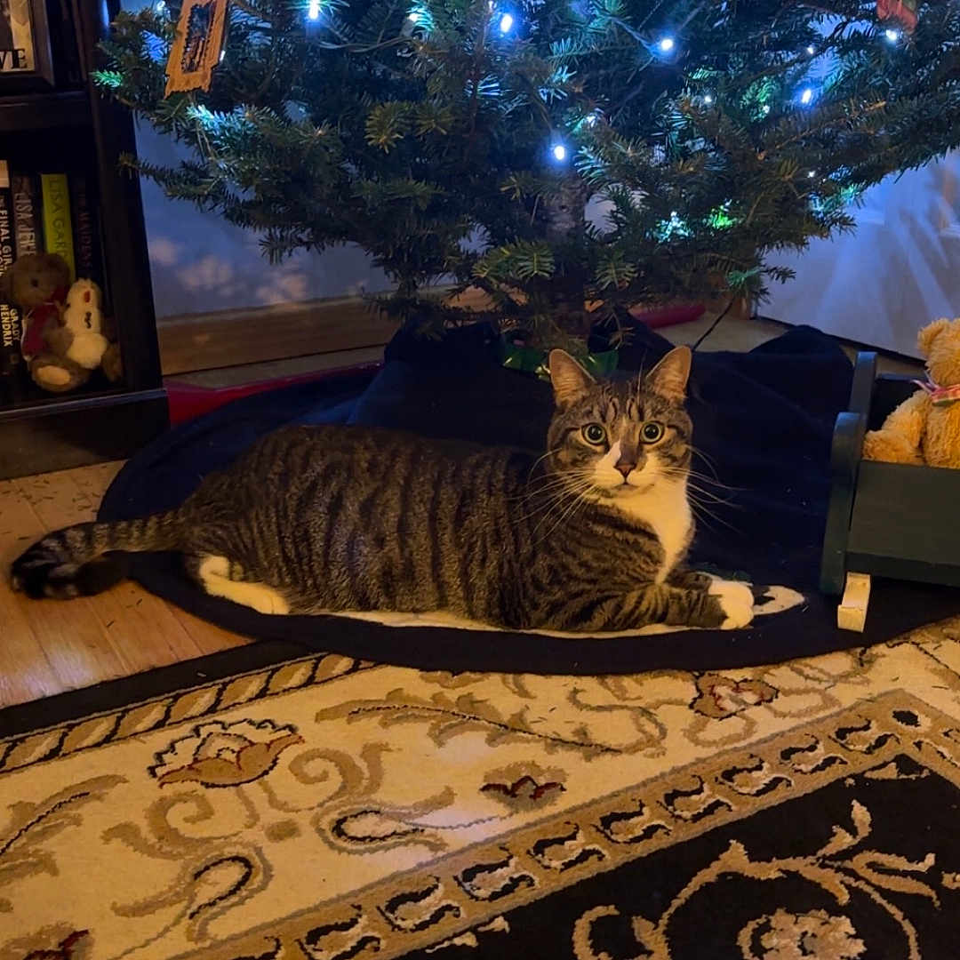 Milo