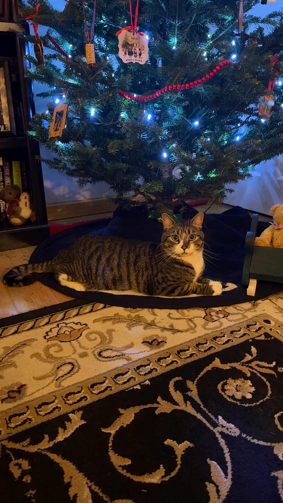 Milo
