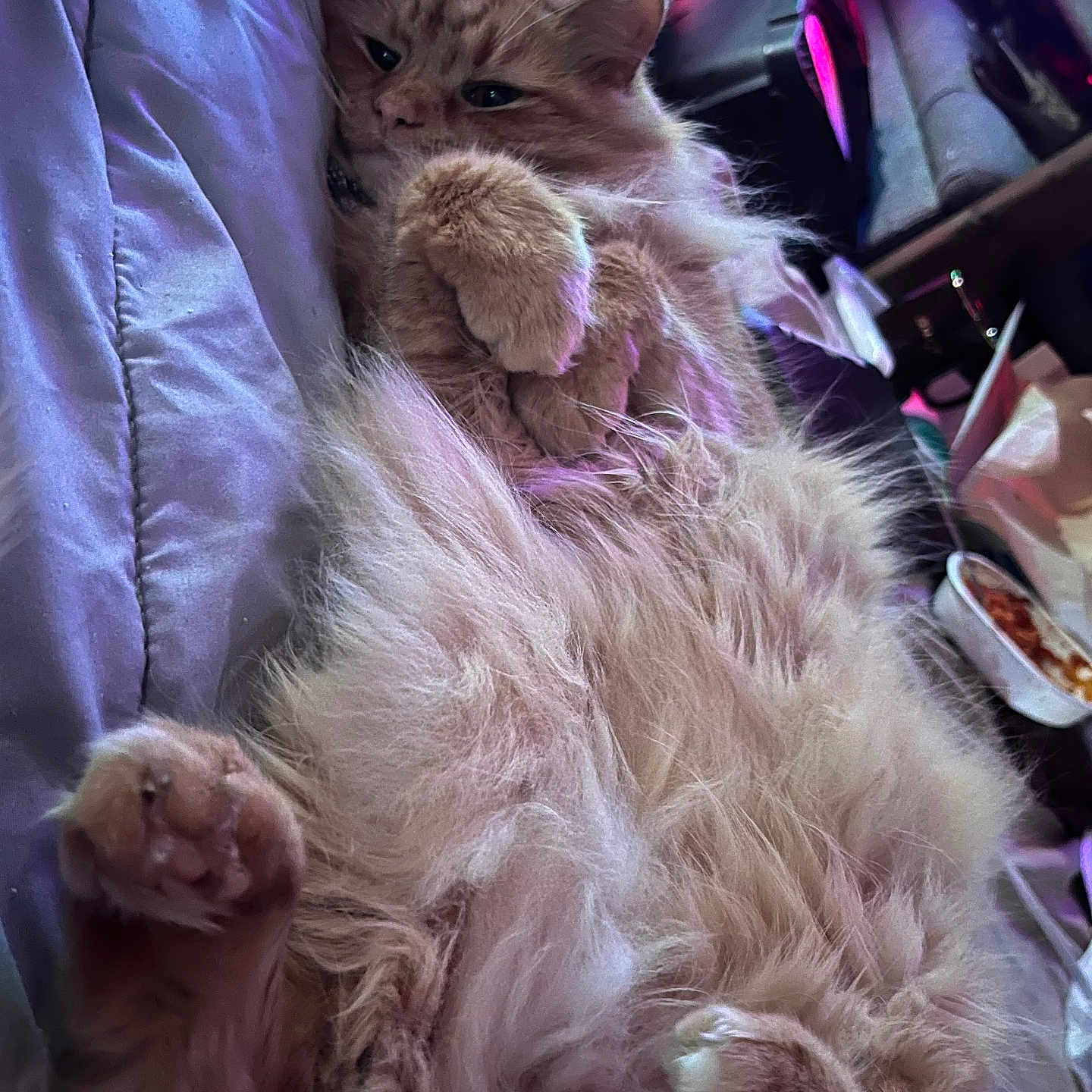 Bo