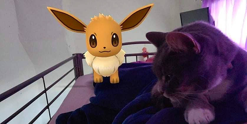 Nixie joined the competition — help win amazing prizes! animated_cartoon, carnivore, cat, comfort, desk, ear, fawn, felidae, fur, mammal, plush, purple, small_to_medium_sized_cats, snout, stuffed_toy, tail, textile, toy, vertebrate, whiskers