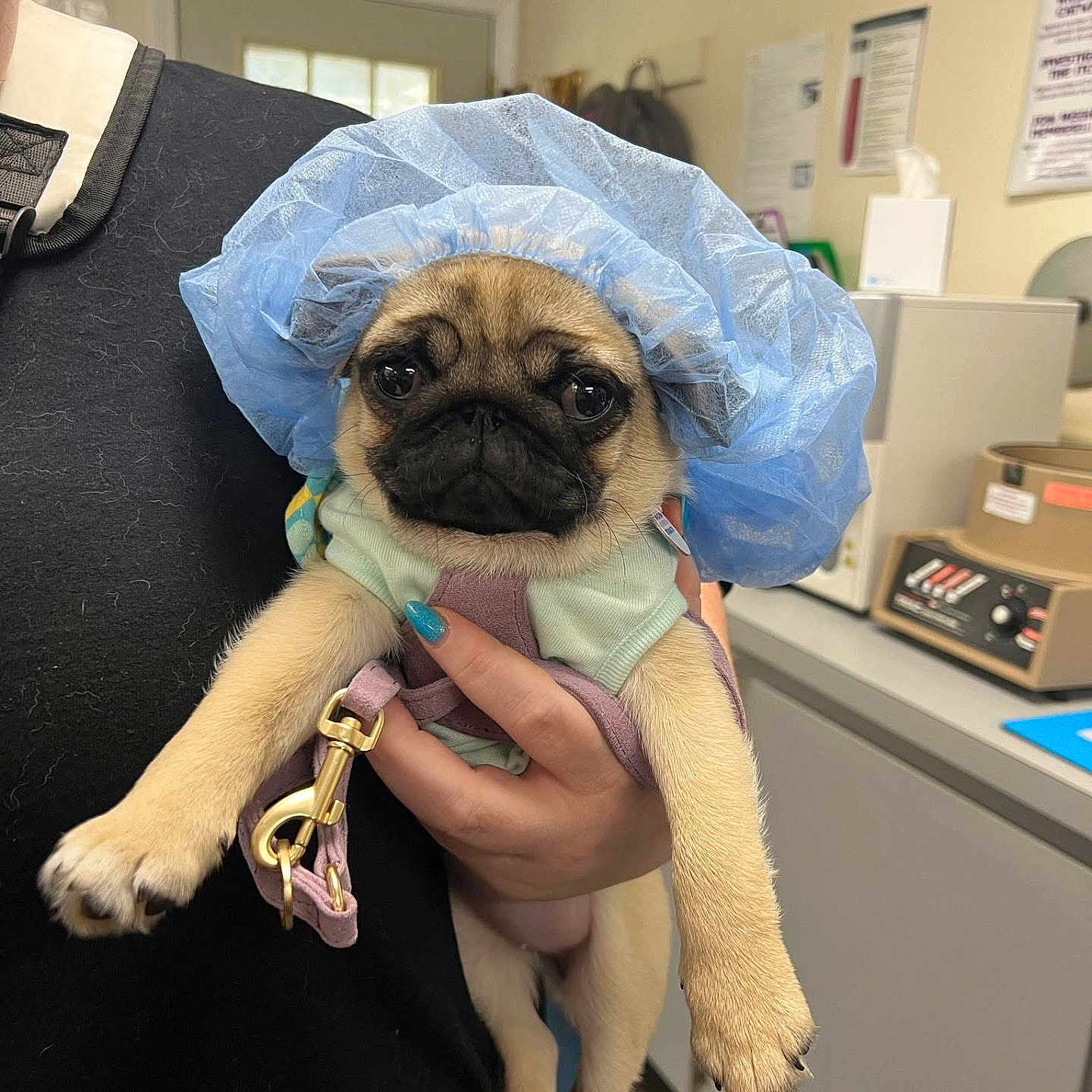 Princess Leia