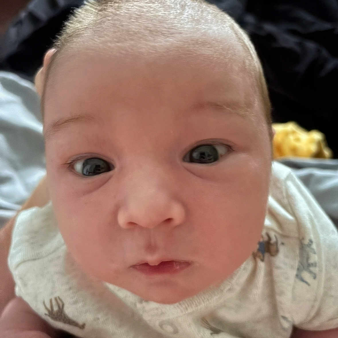 Kodawayne joined the competition — help win amazing prizes! baby, child, closeup, clothing, curious, cute, expression, eyes, face, hand, head, indoor, infant, newborn, onesie, person, portrait, skin, soft_light, young