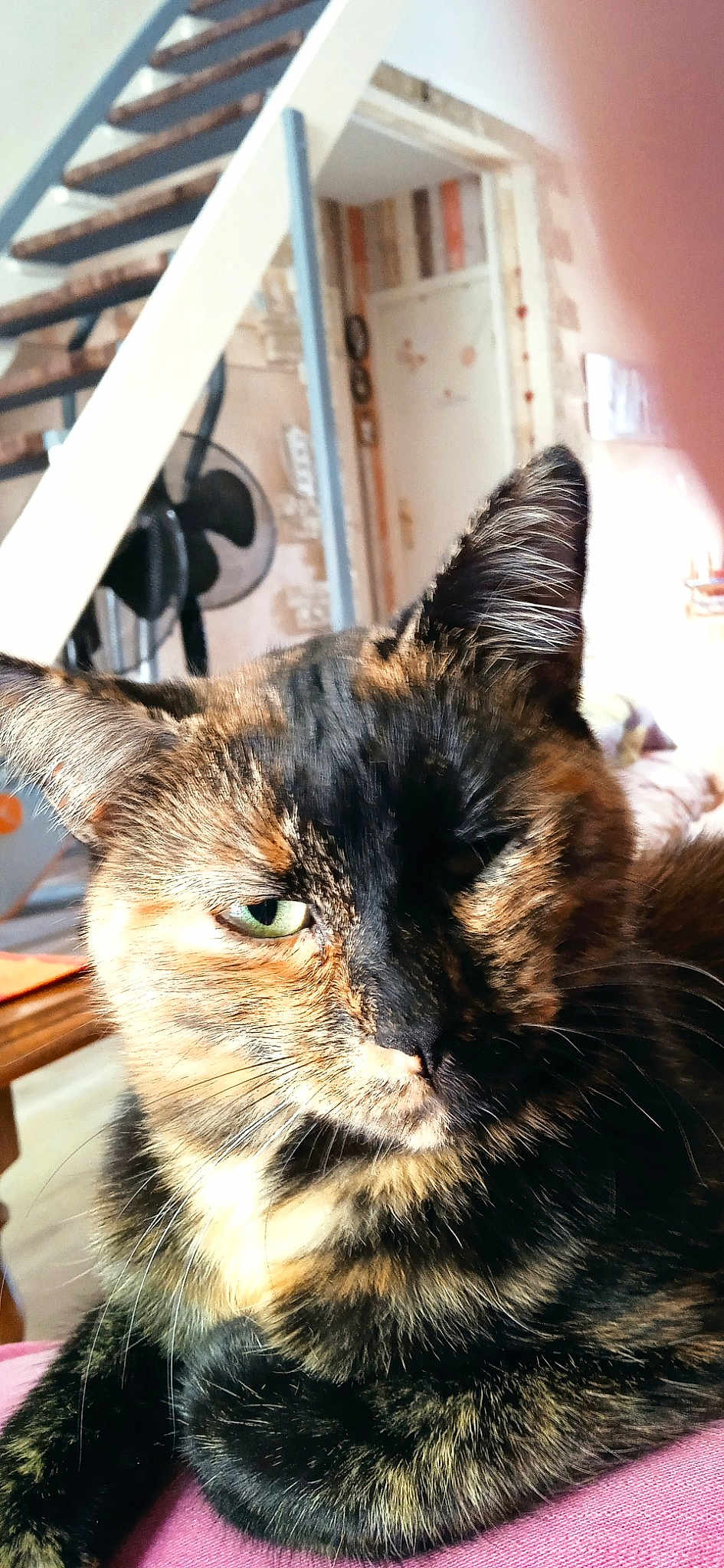 Praline