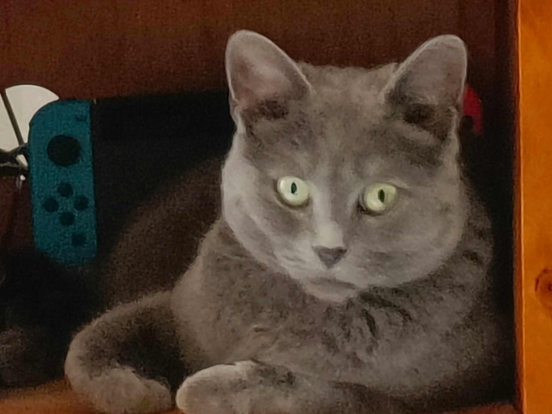 Sanka