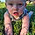 Flynn