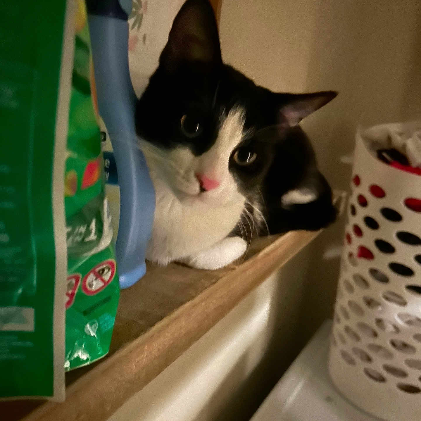 Schmittens