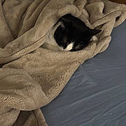 Schmittens is registered to the contest to win money with this photo: