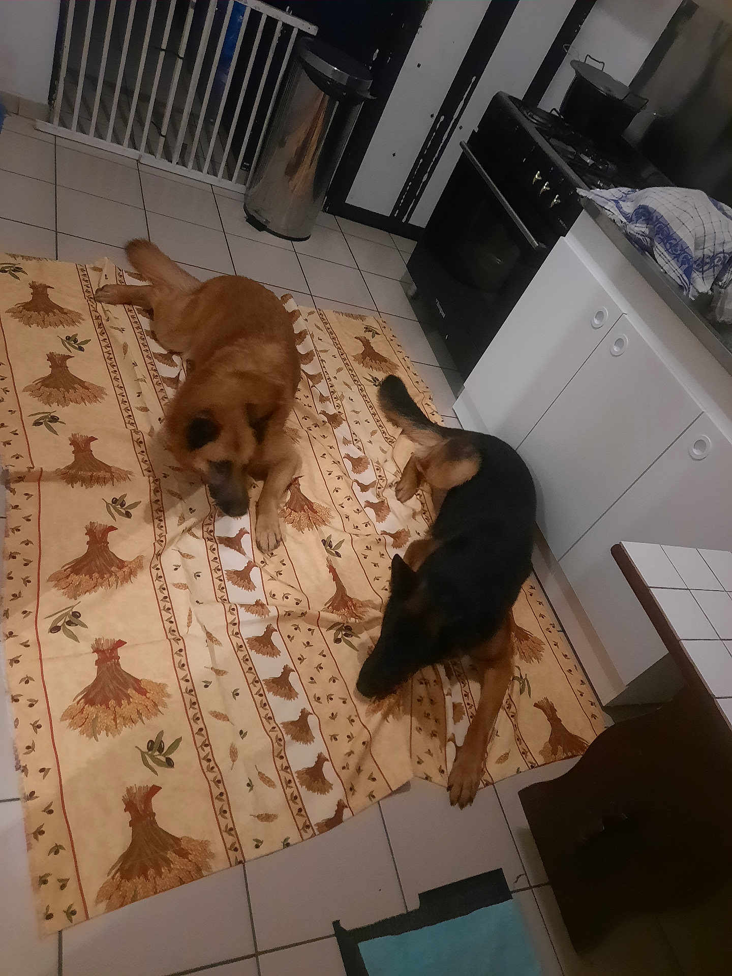 Snoop Et Bosko