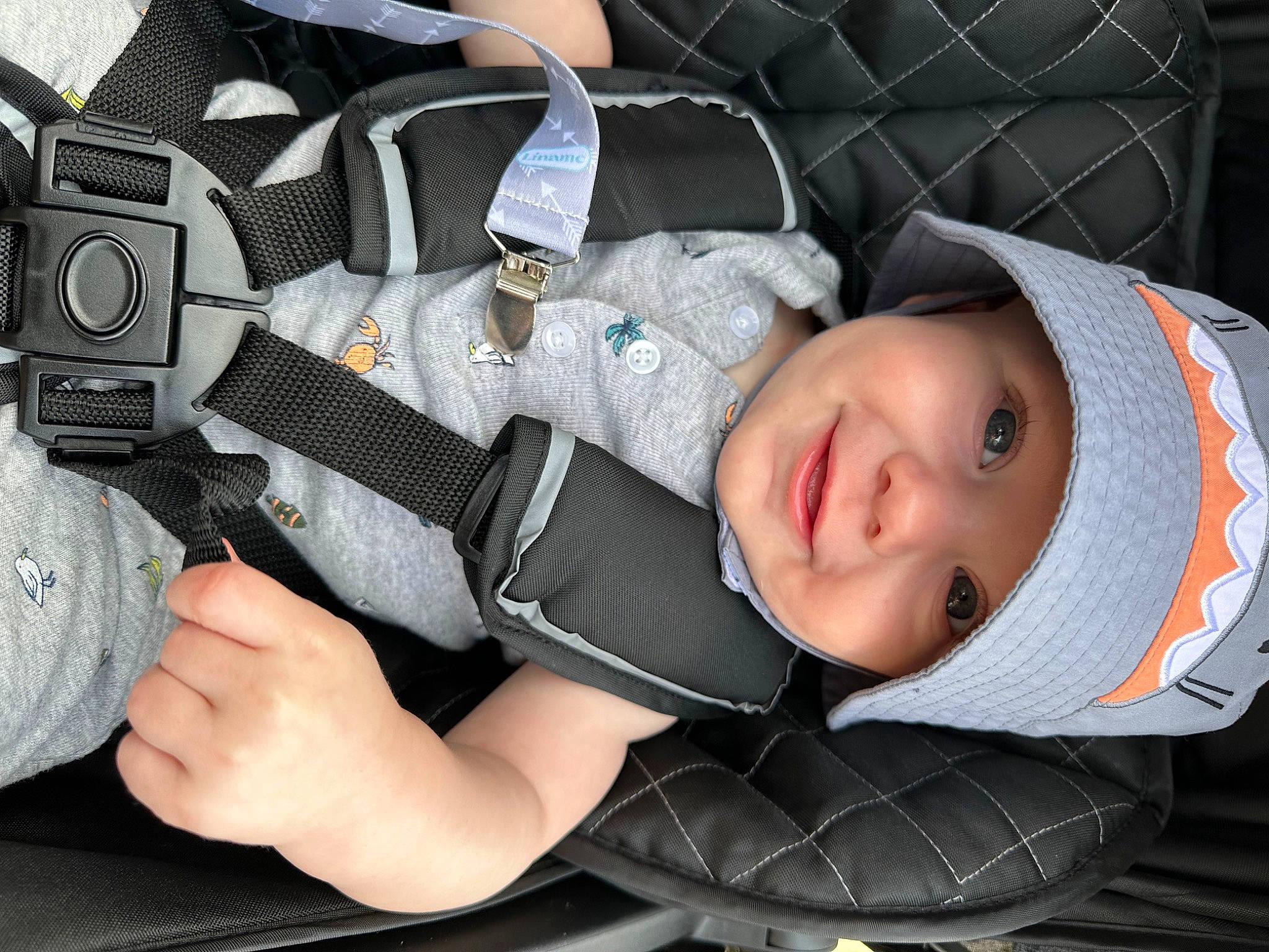 Cam is registered to the contest to win money with this photo: auto_part, baby, baby_carriage, baby_products, baby_toddler_clothing, camera, car_seat, child, comfort, cool, fashion_accessory, fun, hand, headwear, person, personal_protective_equipment, reflex_camera, smile, strap, thumb