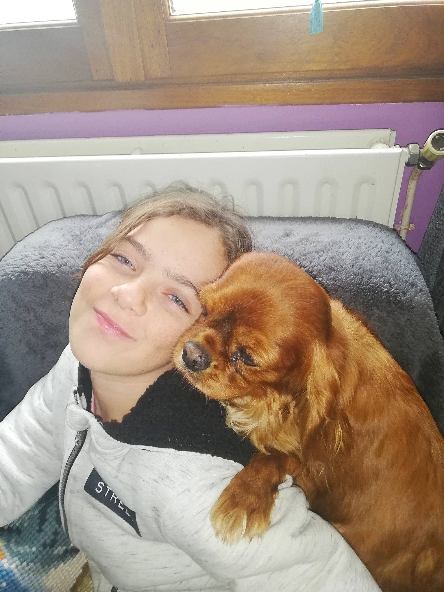 Harmonie participe au concours pour gagner de l'argent avec cette photo : canidae, carnivore, cavalier_king_charles_spaniel, companion_dog, dog, dog_breed, ear, eye, fur, king_charles_spaniel, pekingese, puppy, puppy_love, selfie, smile, spaniel, sporting_group, tibetan_spaniel, toy_dog