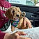 Herbie